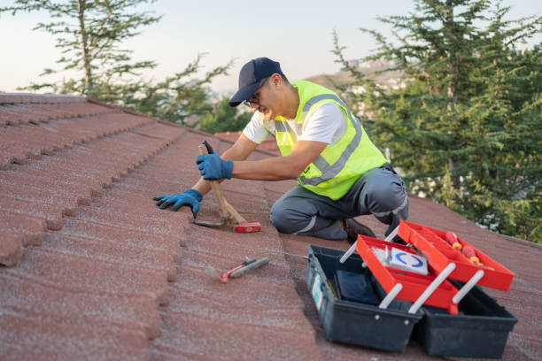 Roof Gutter Cleaning in Grangeville, ID